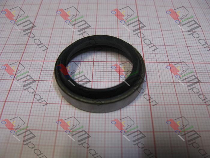 TCM 24234-32231 Сальник шкворня TCM FG15T3 (HH)