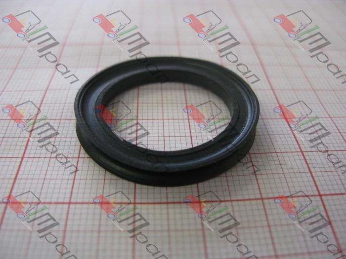 NISSAN 48525-FJ100 Сальник шкворневой Nissan L01, 1F1 (TRP)