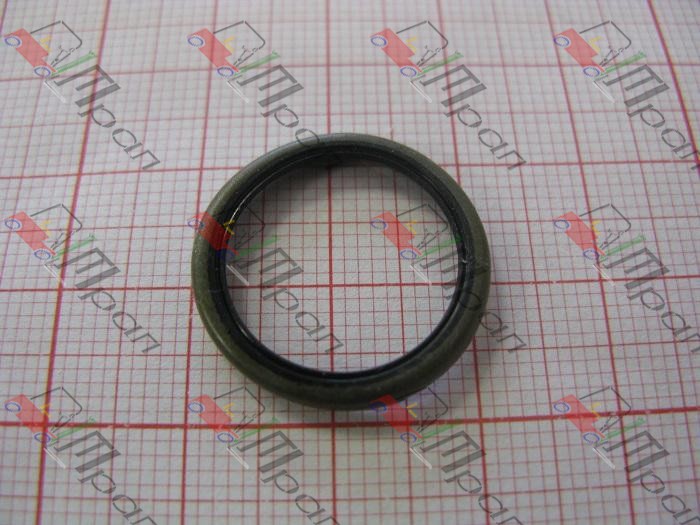 NISSAN 48522-FJ101 Сальник шкворневой (17х21х2,5) Nissan L02  (TRP)