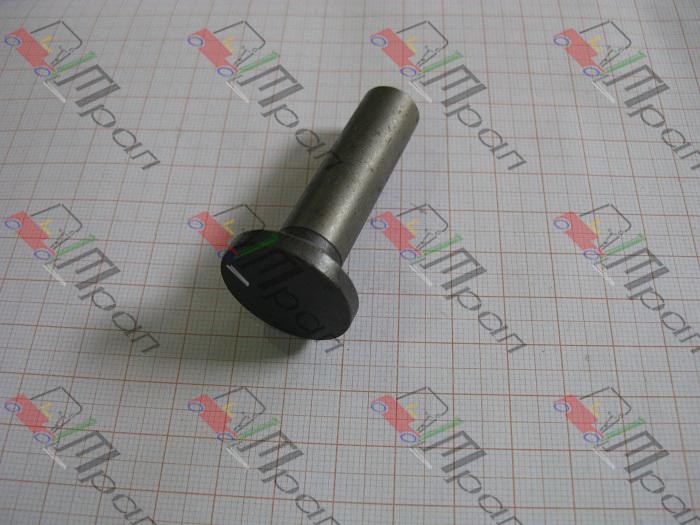 TCM Z-9-12571-801-1 Толкатель клапана C240 (TRP) 