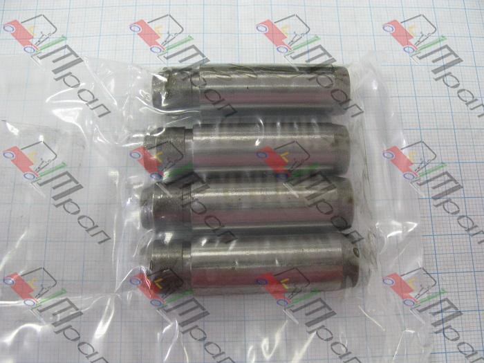 TCM 20801-0Z141 Направляющая клапана впусквыпуск TCM C240