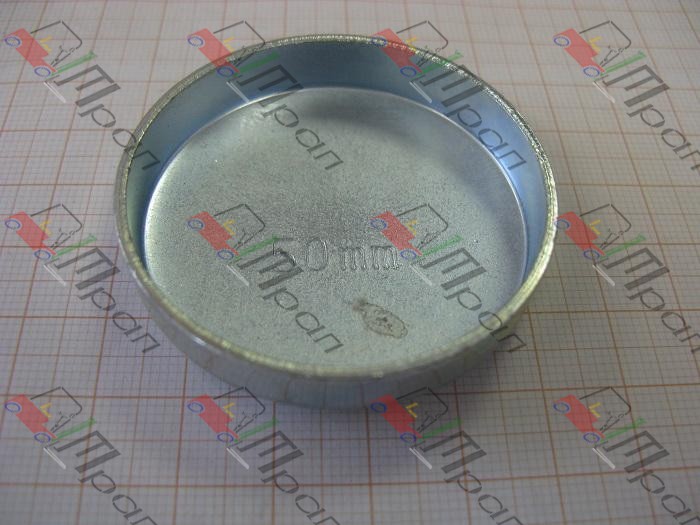 TOYOTA 86411-76008-71 Заглушка блока 1DZ, 2Z (d-50) (HH)