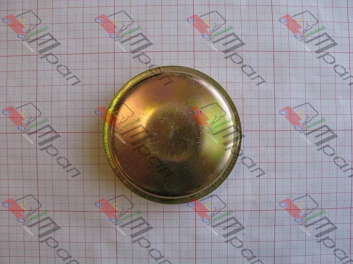 NICHIYU 4300-31070 Крышка ступицы (HH)